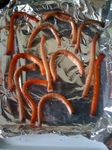 Loop Snakes Burnt